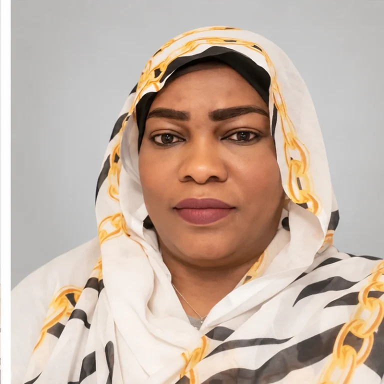 Bakheita Nour, Director